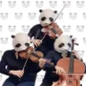 PANDAYAチャンネル