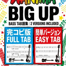 BIG UP/WANIMA 完コピ、簡単バージョンセット