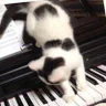 ちゃみ