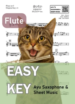 会いたい - 沢田知可子 (フルート かんたんキー(原曲キー+1)) by Ayu Saxophone & Sheet Music