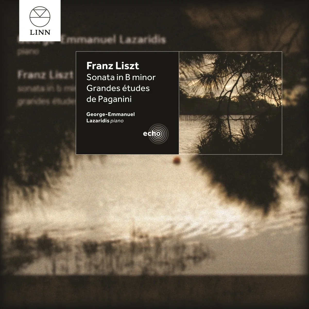 Grandes études de Paganini - S.141 No.6 - Franz Liszt (in A Minor Theme and Variations - For Piano Solo Original With Fingered) by poon
