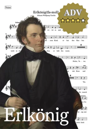 【伴奏音源付き】Erlkönig 魔王 G minor_g-moll ト短調(原調) - フランツ・シューベルト (g-moll/Gm/G-minor/ト短調) by cogito