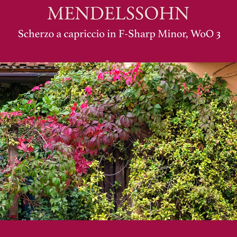 Scherzo à Capriccio WoO 3 in F♯ Minor - Felix Mendelssohn (Original With Fingering For Piano Solo) by poon