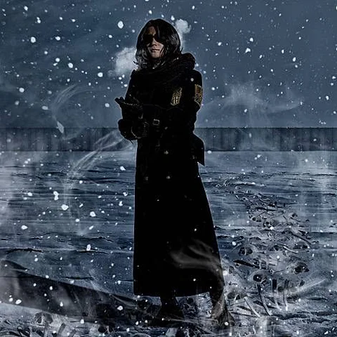 Linked Horizon