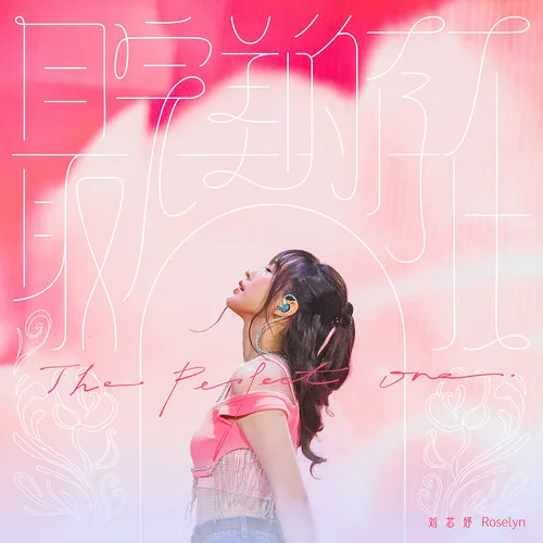 最完美的存在 - 刘芯妤 by c