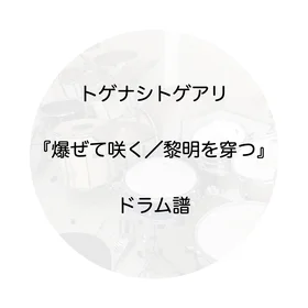 爆ぜて咲く／黎明を穿つ
