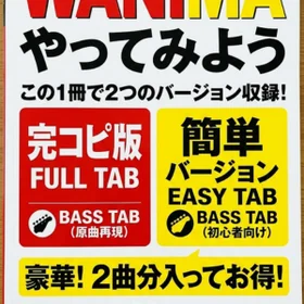 やってみよう/WANIMA 完コピ、簡単バージョンセット