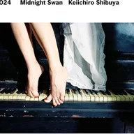Midnight Swan