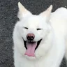 ヘクソ