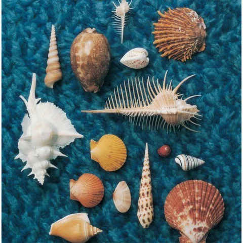 하늘도 날 수 있을거야