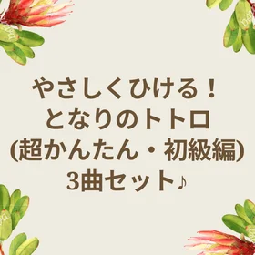 「となりのトトロ」初級３曲セット♪