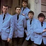 The Animals