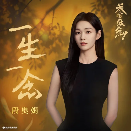 一生一念 - 段奥娟 by c