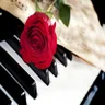 BeauTone♬ピアニストが作る楽譜♪